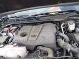 TOYOTA TUNDRA SR5 4WD 5TFLA5DB0RX232833 fotografie