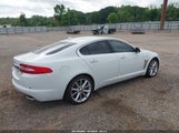 JAGUAR XF 3.0 PORTFOLIO/3.0 SPORT SAJWA0F74F8U58177 photo