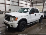 FORD F-150 FX4/HARLEY-DAVIDSON/KING RANCH/LARIAT/PLATINUM/XL/XLT 1FTFW1EV7AFB84886 fotografie