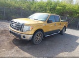 FORD F-150 FX4/KING RANCH/LARIAT/PLATINUM/XL/XLT 1FTPW14V49KC41926 photo