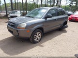 HYUNDAI TUCSON GLS KM8JM12B79U933070 снимка