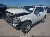 FORD ESCAPE XLT 1FMCU0D75AKC84879 fotografie