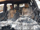 Chevrolet Traverse Ls 1GNLREED7AJ210206 снимка