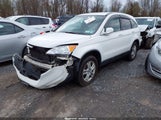 HONDA CR-V EX-L 5J6RE4H76AL025836 снимка