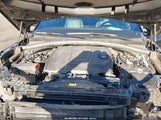 LAND ROVER RANGE ROVER VELAR P250 S SALYJ2EX5PA351243 fotografie