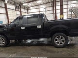 FORD F-150 FX4/LARIAT/XLT 1FTPW14555FB34094 photo