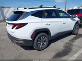 HYUNDAI TUCSON HYBRID BLUE KM8JBCD13RU205493 fotografie