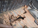 FORD F150 1FTRX14WX5KC56388 снимка