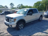 FORD F-150 FX4 1FTFW1ET0DFC85741 снимка