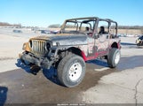 Jeep Wrangler Sport 1J4FA49S12P734525 снимка