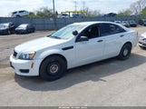 CHEVROLET CAPRICE POLICE 6G3NS5U2XEL946804 fotografie