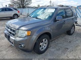 Ford Escape Limited 1FMCU0E76AKC30165 снимка