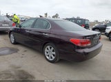 LEXUS ES 330 JTHBA30G955061537 снимка