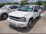 CHEVROLET TRAILBLAZER FLEET 1GNDS13S382211876 снимка