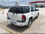 CHEVROLET TRAILBLAZER FLEET 1GNDS13S382211876 снимка