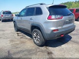 JEEP CHEROKEE TRAILHAWK 4X4 1C4PJMBX1LD590087 снимка