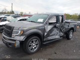 FORD F-150 STX 1FTEX1CM7EFB26396 снимка