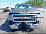 CHEVROLET SILVERADO 1500 WORK TRUCK 2WT 3GCUKPEH0EG262607 fotografie