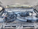 FORD F-150 60TH ANNIVERSARY/XL/XLT 1FTRW14W08FC34142 photo
