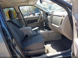 Ford Escape Xlt 1FMCU9D74AKA78960 fotografie