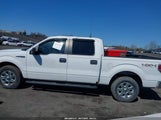 FORD F-150 XLT 1FTFW1EF0EKF80292 снимка
