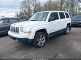 JEEP PATRIOT SPORT 1J4NF1GB1BD217581 photo