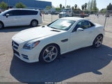 MERCEDES-BENZ SLK 250 WDDPK4HA9DF057092 fotografie