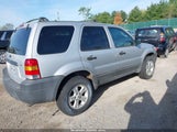 FORD ESCAPE XLT 1FMYU93185KC96084 снимка