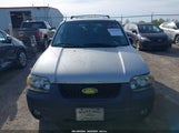 FORD ESCAPE XLT 1FMYU93185KC96084 снимка