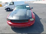 FORD MUSTANG V6 1ZVFT80N765234950 снимка