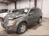 FORD ESCAPE XLT 1FMCU0D75CKA27627 photo