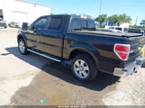 Ford F-150 Fx2 Sport/Harley-Davidson/King Ranch/Lariat/Platinum/Xl/Xlt 1FTFW1CV5AFD90856 photo
