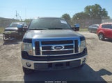 Ford F-150 Fx2 Sport/Harley-Davidson/King Ranch/Lariat/Platinum/Xl/Xlt 1FTFW1CV5AFD90856 снимка