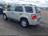FORD ESCAPE XLT 1FMCU93ZX8KB33764 снимка
