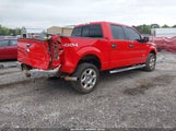 FORD F-150 XLT 1FTFW1ET0EFA05463 снимка