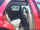 FORD ESCAPE XLT 1FMCU0D75AKB11394 fotografie