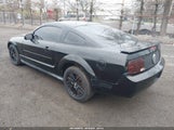 FORD MUSTANG V6 DELUXE/V6 PREMIUM 1ZVHT80N885204464 снимка