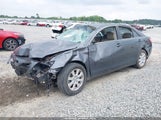 TOYOTA CAMRY XLE V6 4T1BK46KX9U594987 photo