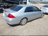 HONDA ACCORD 2.4 SE 1HGCM56326A173765 photo