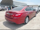 NISSAN ALTIMA 2.5/2.5 S/2.5 SL/2.5 SR/2.5 SV 1N4AL3AP3GC162387 снимка