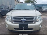 FORD ESCAPE XLT 1FMCU0D76AKC79321 fotografie