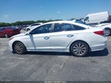 HYUNDAI SONATA SPORT 5NPE34AF9FH074021 fotografie