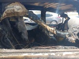 TOYOTA RAV4 LE 2T3ZFREV2HW368606 снимка