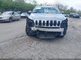 JEEP CHEROKEE LIMITED 1C4PJMDS4FW650454 снимка