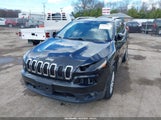 JEEP CHEROKEE LATITUDE 1C4PJMCS6EW219999 снимка