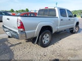 TOYOTA TACOMA PRERUNNER V6 3TMKU72N79M018746 photo