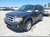 FORD ESCAPE XLT 1FMCU9DG5BKC36529 fotografie