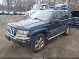 JEEP GRAND CHEROKEE LAREDO 1J4GW48JX4C278260 fotografie