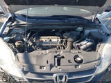 HONDA CR-V LX 5J6RE3H34AL007407 photo