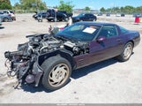 CHEVROLET CORVETTE 1G1YY22P5R5106289 снимка